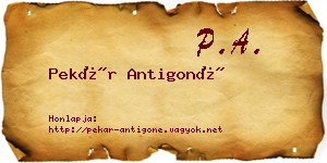 Pekár Antigoné névjegykártya